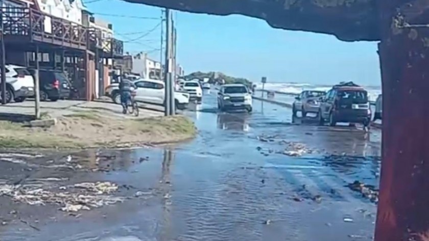 Sudestada en la costa bonaerense: los daños que dejó 